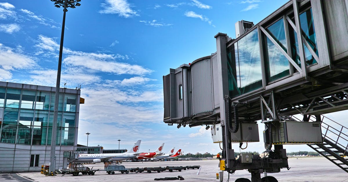 1hr 30min layover in Ataturk Airport (Istanbul) - White and Black Truck on Road