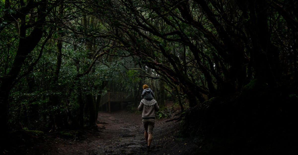 1-week holiday in Fiji. How to carry my cash? - Unrecognizable father with cute little child in dark green woods