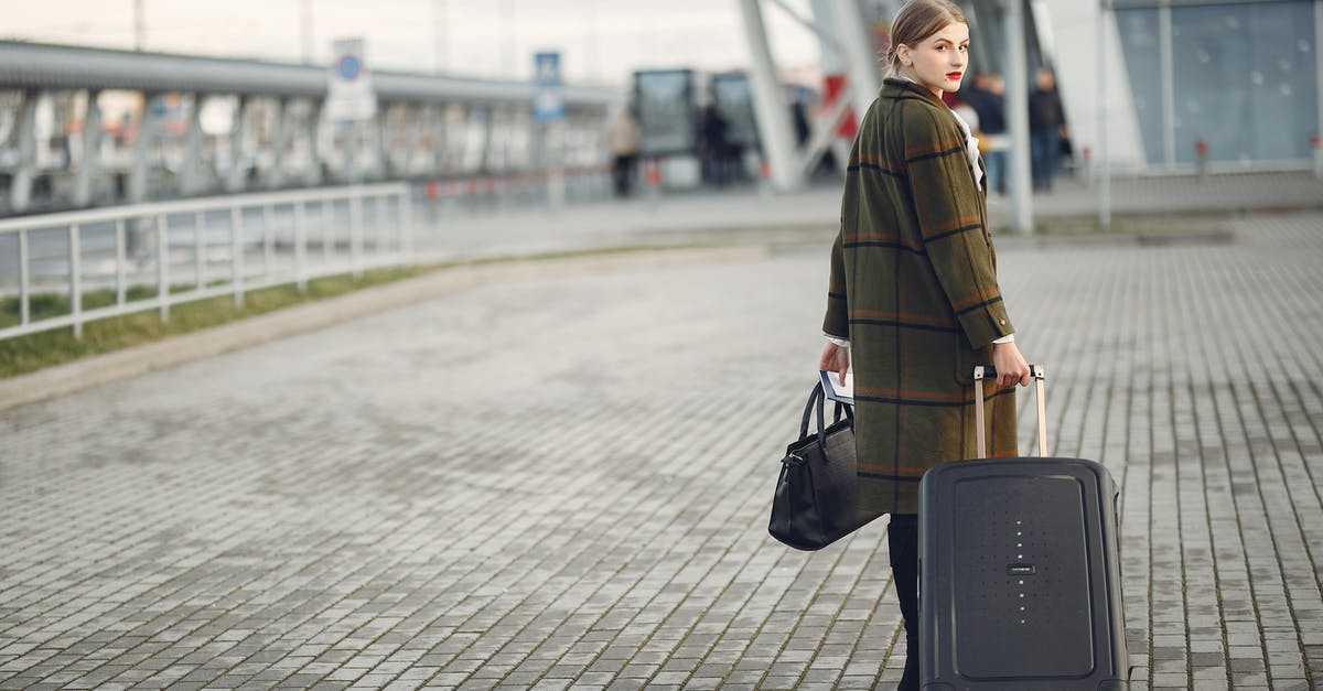 2 jetways for arrival of international flight at Newark? - Back view of trendy businesswoman carrying baggage before flight near airport building