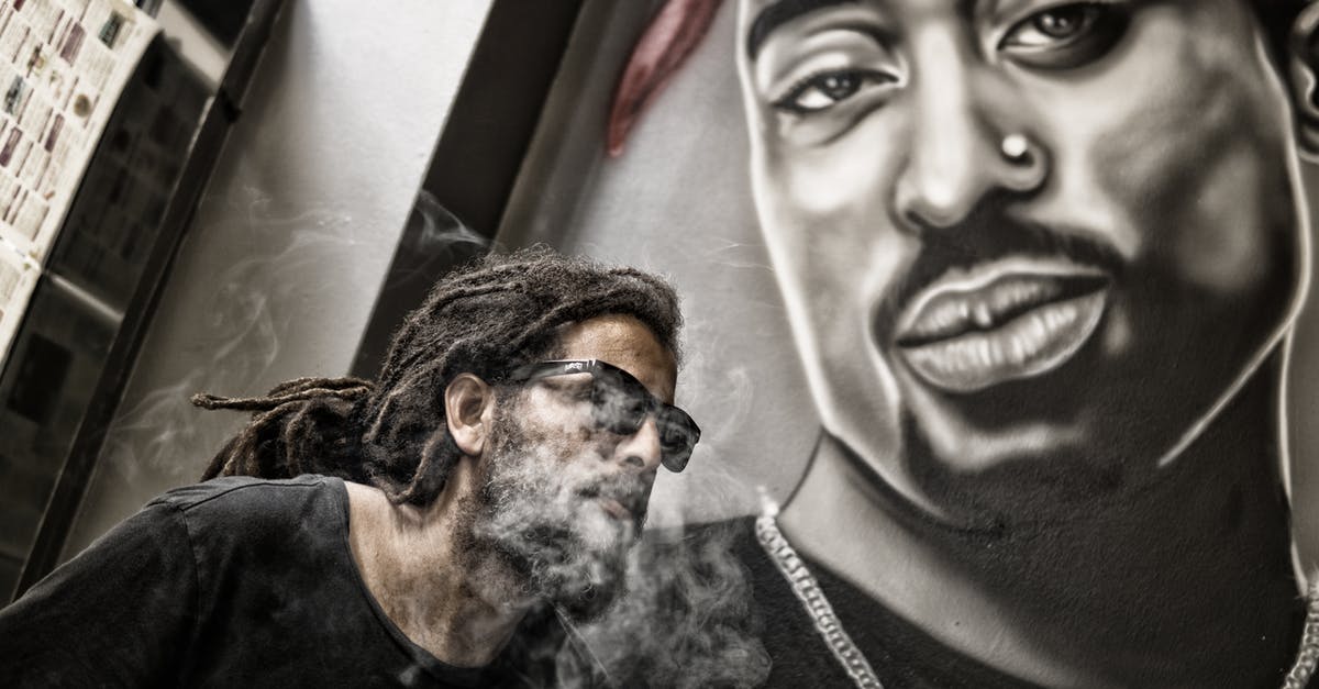 2 passports, 2 current ESTAs? - Man With Dreadlocks and Sunglasses Poses Near Tupac Shakur Portrait