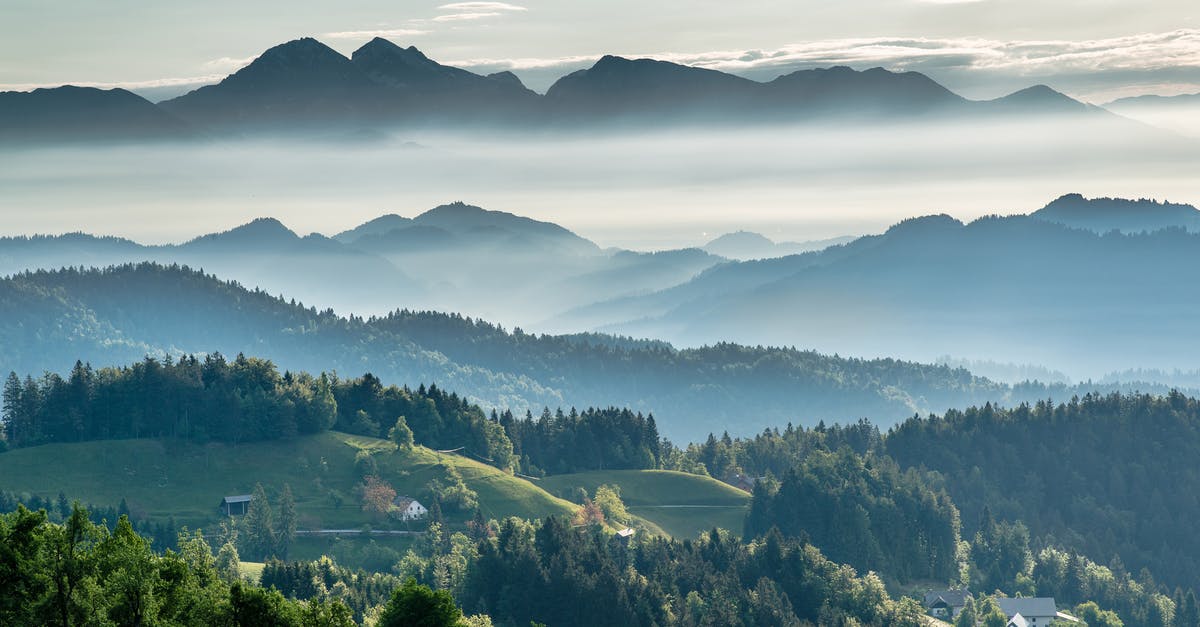 2FABE - the 'secret' international travel postcard stamp code? - Mountainous valley with evergreen forest against misty sky