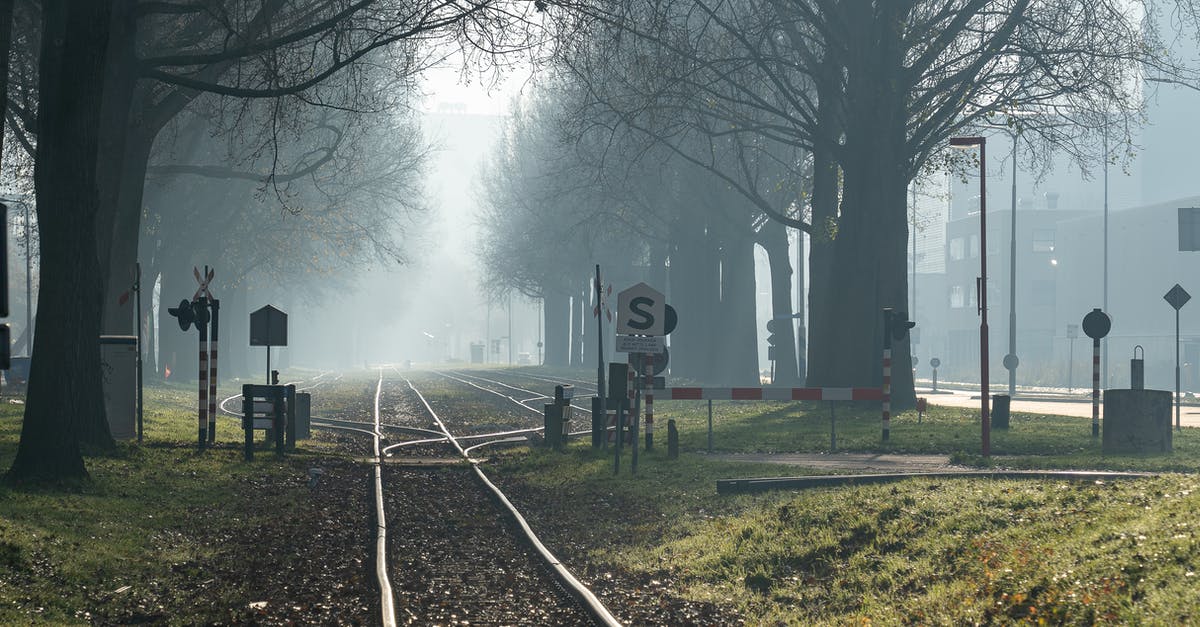 2-hour layover between flights, LaGuardia to JFK - Black Train Rail Near Bare Trees during Foggy Day