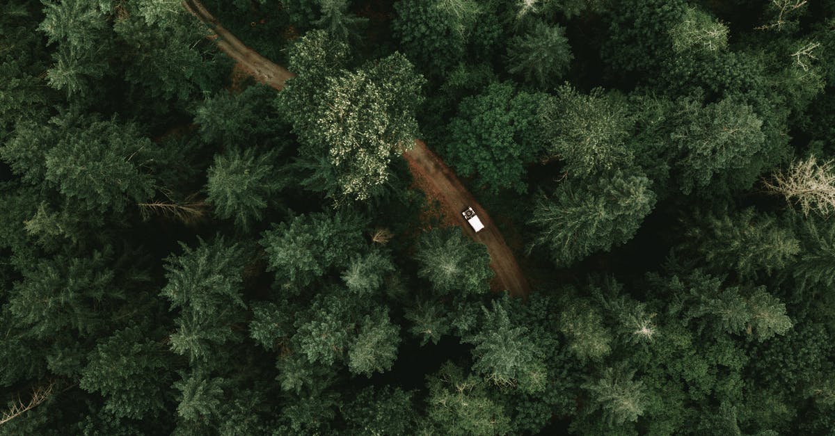 4x4 Rental in Northern Idaho - High Angle View of Green Trees