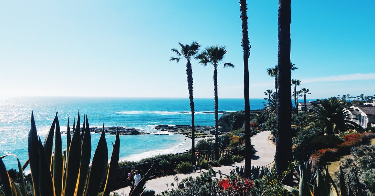 8 hour Los Angeles layover - going to the beach? - Seashore Under Blue Sky