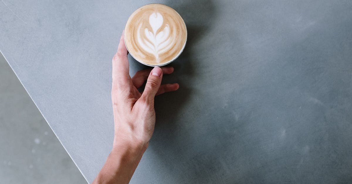 A good way to go from Dresden to Warsaw? [closed] - Person Holding Cappuccino on White Ceramic Cup