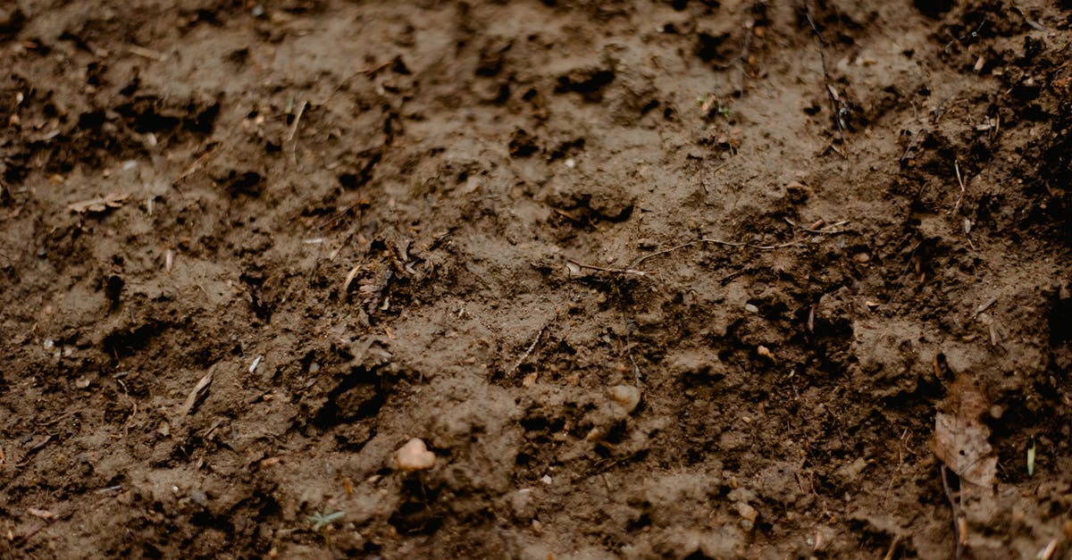 A resource for multi-country SIM providers - Full frame background of surface of brown wet dirty soil with small sticks