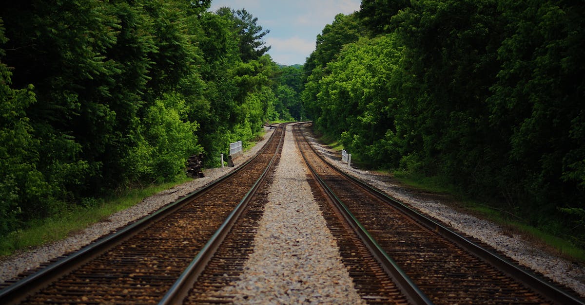 Absolute cheapest means of travelling long distance and duration [closed] - Brown Train Railway Between Green Trees at Daytime