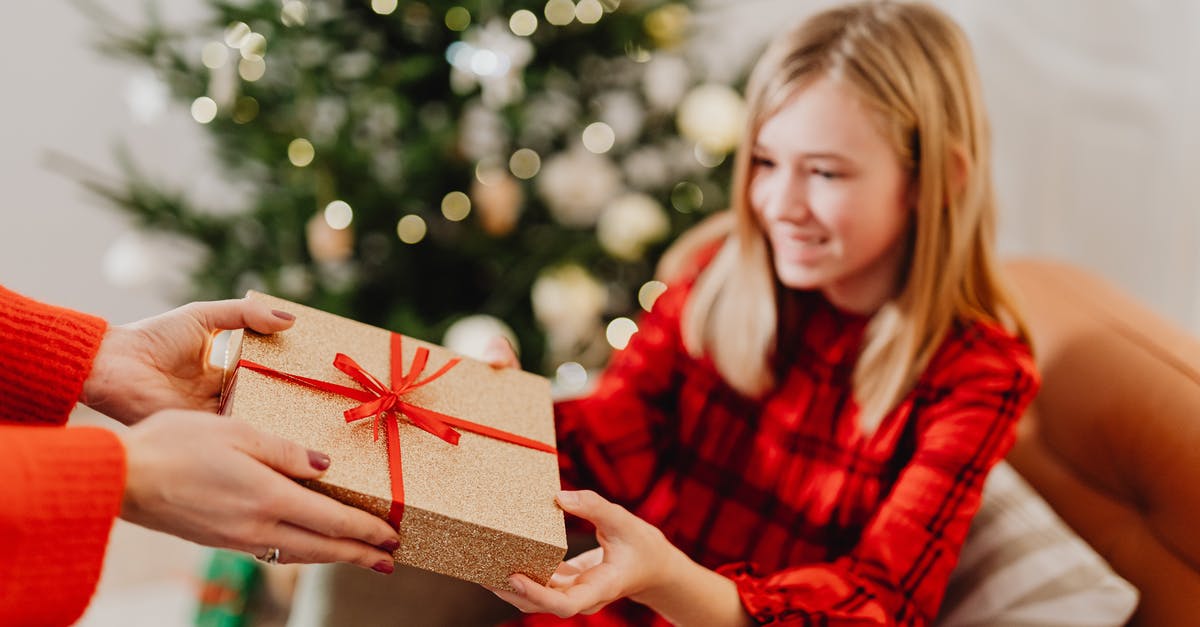 Accommodation for unaccompanied teenager in Tokyo - Woman in Red and Black Plaid Dress Shirt Holding Brown Gift Box