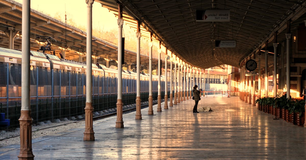 Accompanying friend for a Canada visa? - Woman with a Dog on a Train Station Platform 