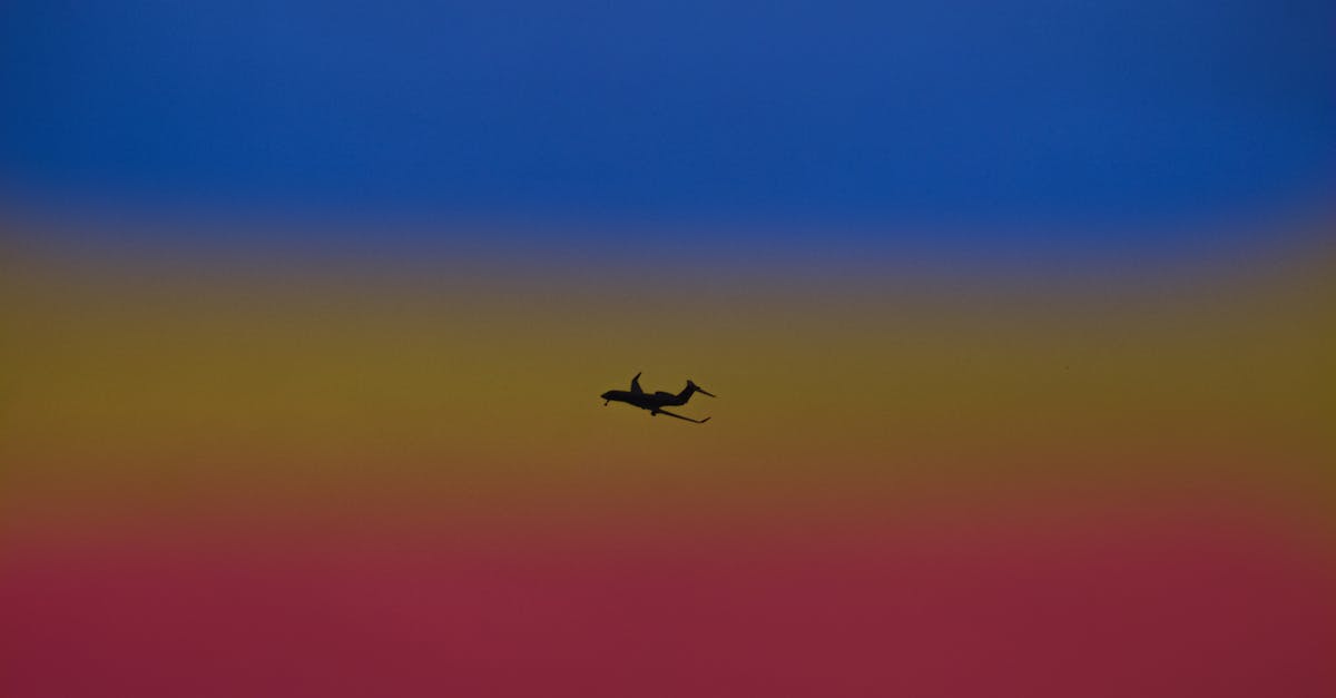 Action against GoAir airline [closed] - Silhouette of airplane landing gear transporting people or goods soaring over bright colorful sky