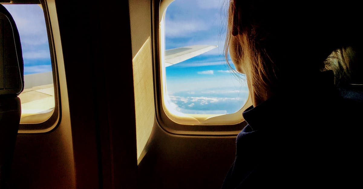 Additional cabin handbag on flights - Person Riding on a Plane