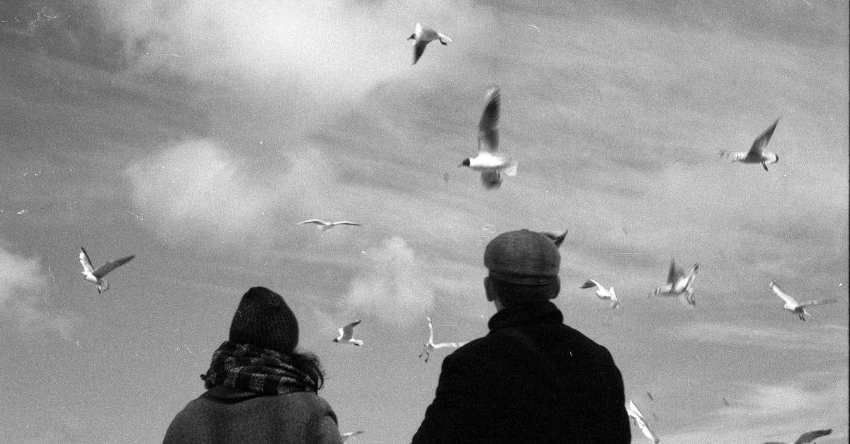 Advice for flying with a 6 month old infant? - Grayscale Photo of Man and Woman Watching the Flying Birds