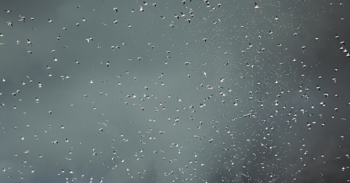 Air China/Star Alliance baggage drop at Heathrow? - Water drops on glass surface