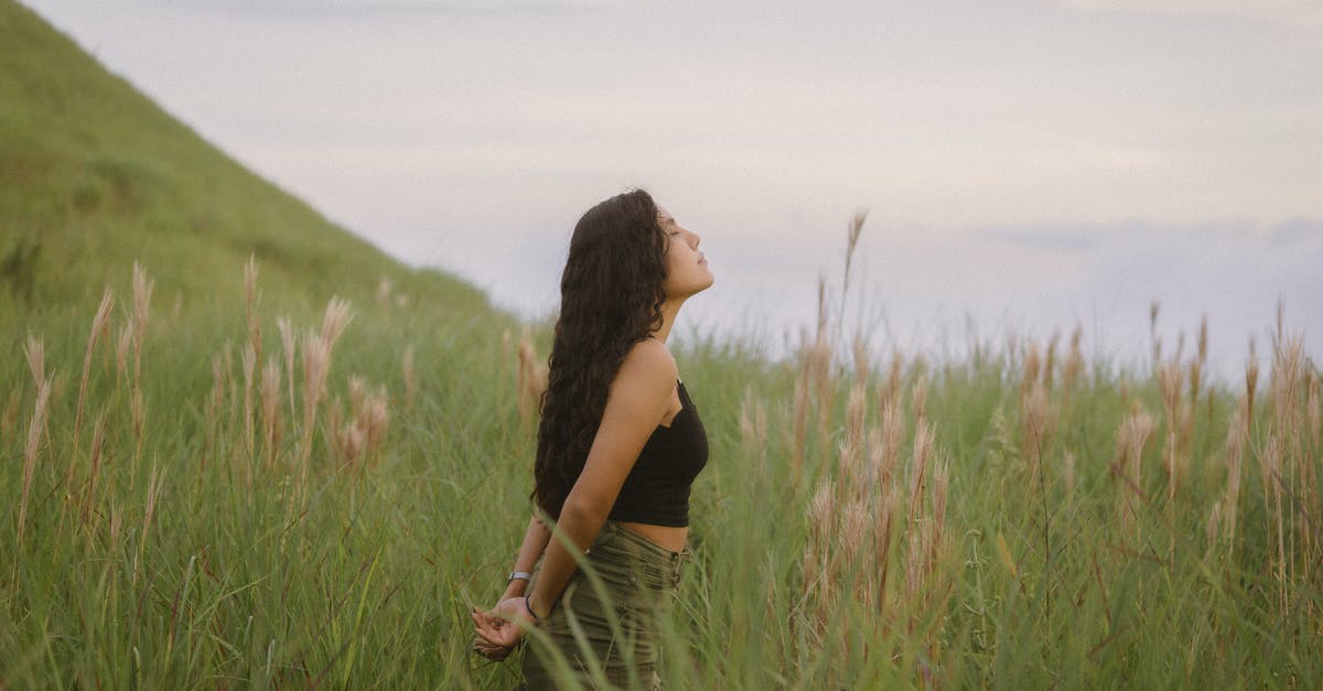 Airbnb-like sites for long term stay - Girl with Long Brown Hair Standing in Grassland