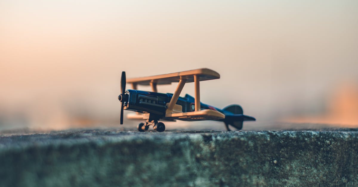 Aircraft Travel: Valid IDs [closed] - Black and Brown Wooden Plane Scale Model