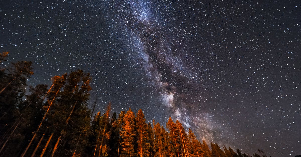 Airport for Yellowstone and Grand Teton national parks? - Trees Under Starry Night