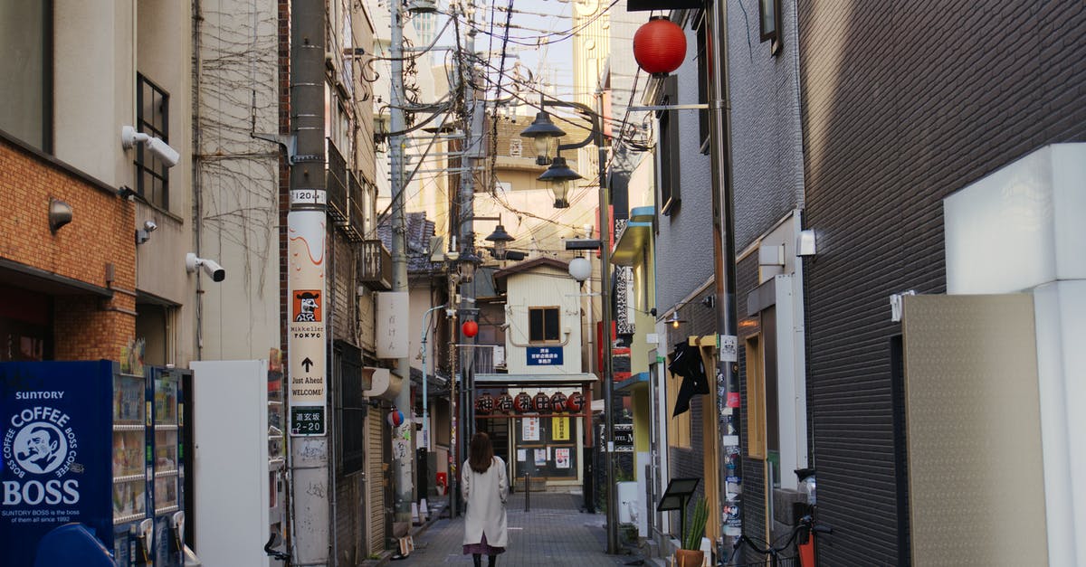 Airport in Japan without Retina Scan - People Walking on Street