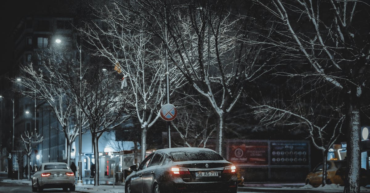 Albania traffic requirements - Cars on Road Near Bare Trees during Night Time