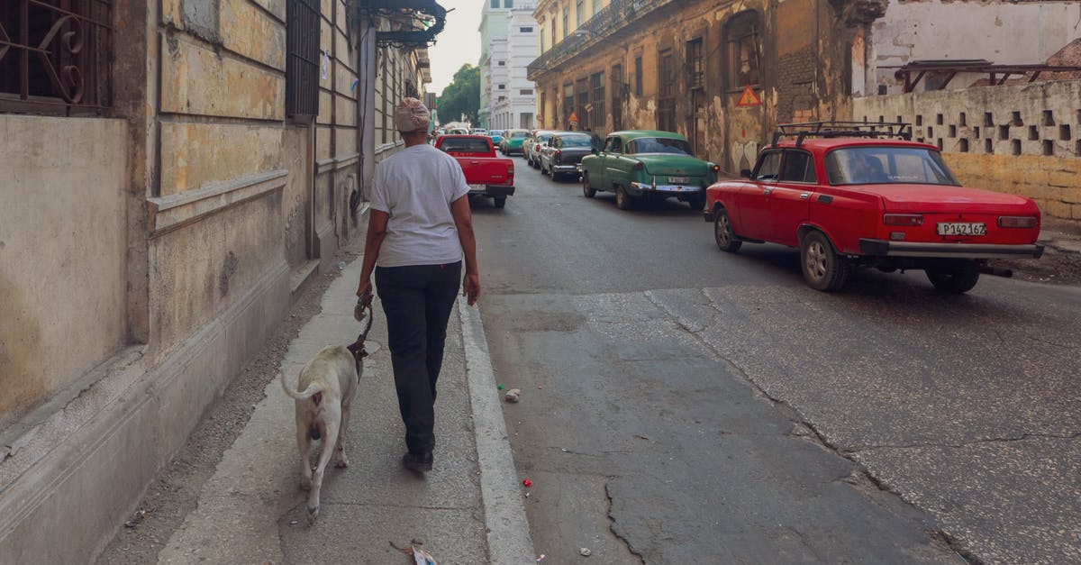 Albania traffic requirements - Person with a Dog Walking on the Sidewalk