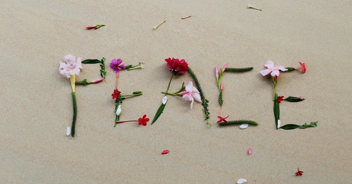 Alcatraz from shore? - Top view of composition made of gentle flowers and stems in shape of word peace on sandy beach