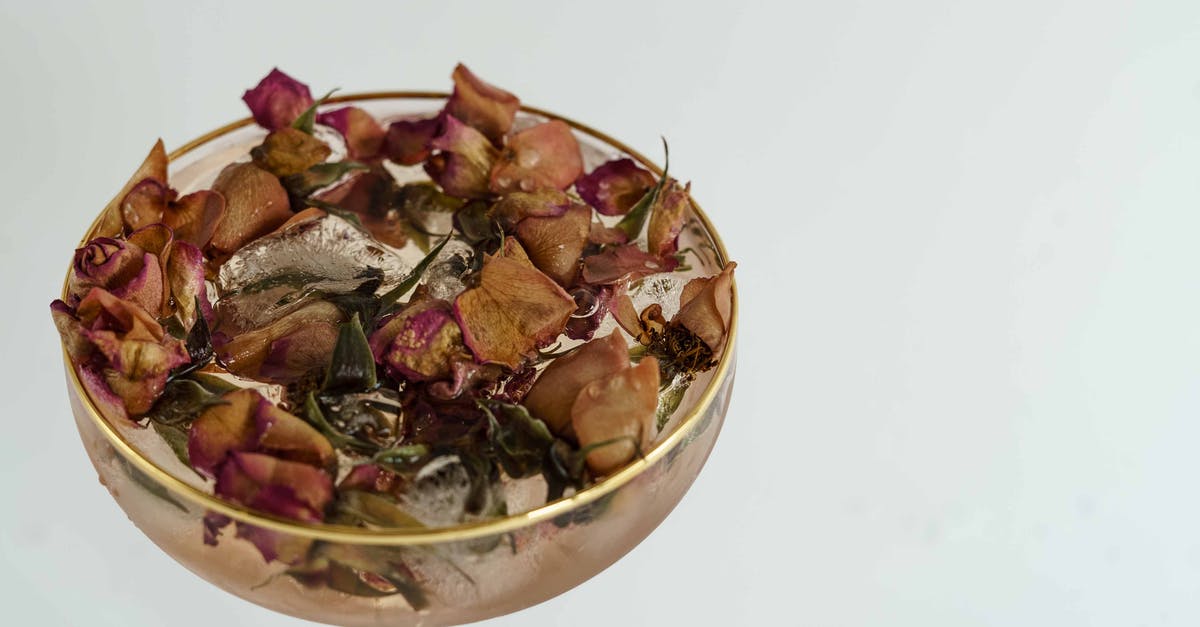 Alcohol as necessary medicine when visiting dry countries? - High angle of coupe glass filled with cold cocktail with dried herbs on white background