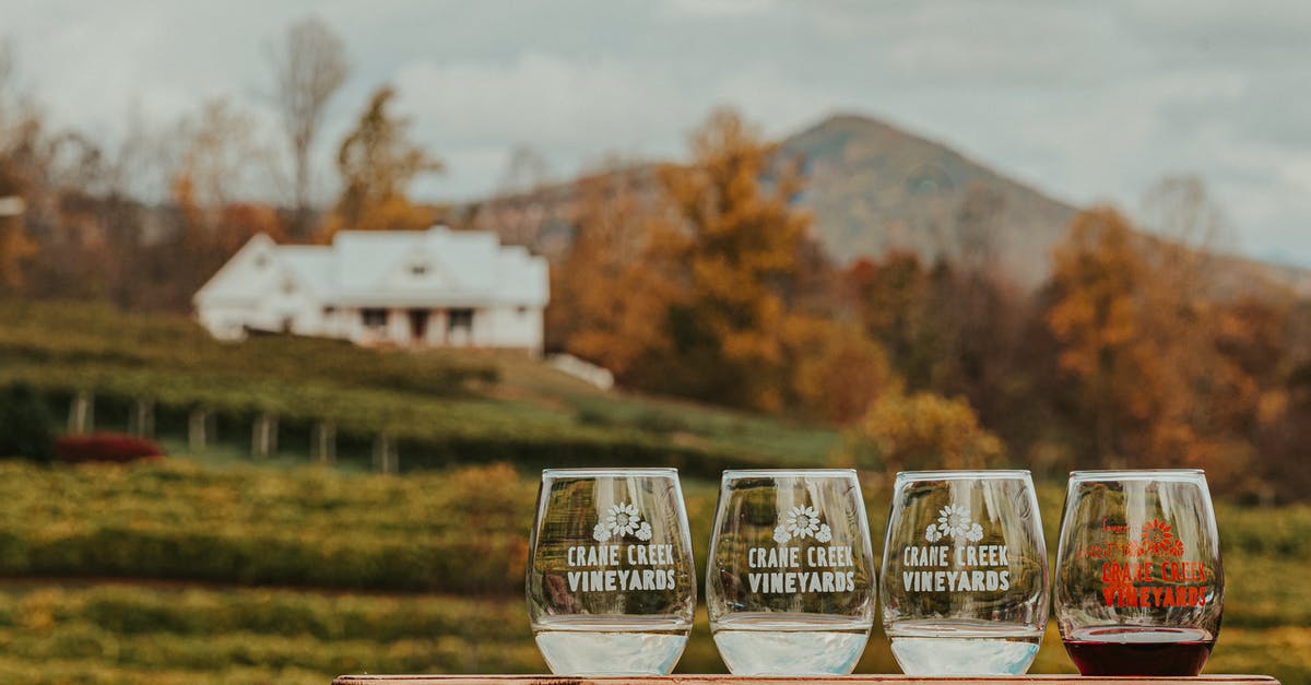 Alcohol limitations crossing into Canada from U.S - Crystal glasses of wine placed on wooden table near vineyards located in mountainous countryside against cloudy sky on autumn day