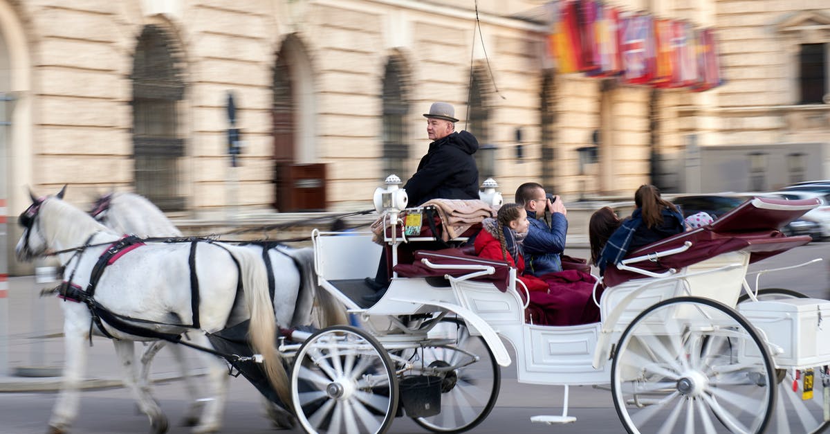 Alles gurgelt! for tourists in Vienna - People Riding Horse Carriage on Street