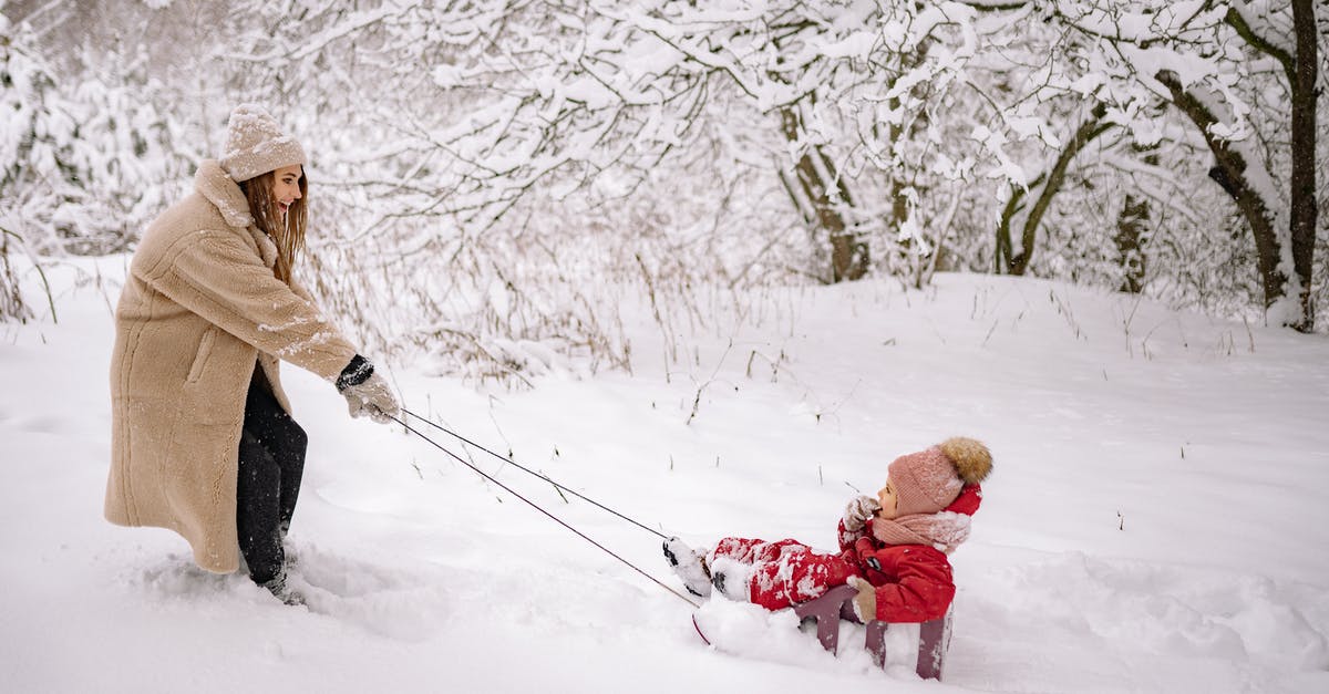 Am I a dependent child for UK visa? - Woman in Brown Coat Holding Red and White Stick Walking on Snow Covered Ground