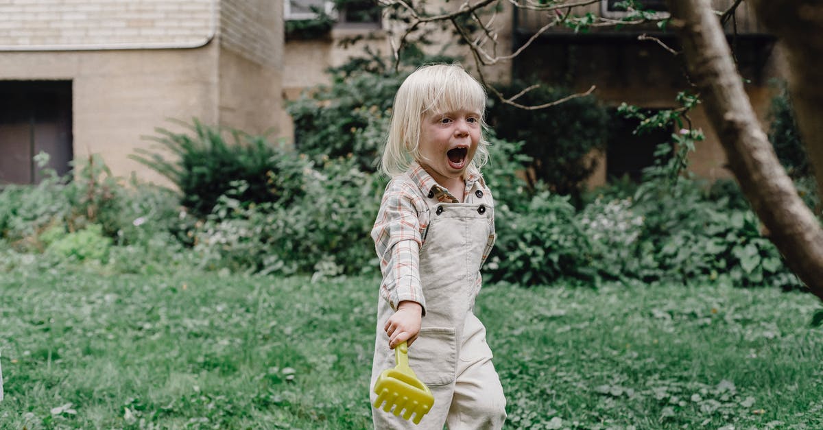 Am I able to carry on a small Swiss army knife? - Cute little boy with plastic rake on lawn with fresh green grass in yard