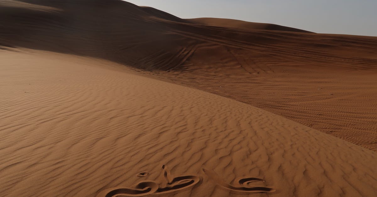 Am I likely to see a snake on a desert safari or in a souk in Dubai? - Empty Desert
