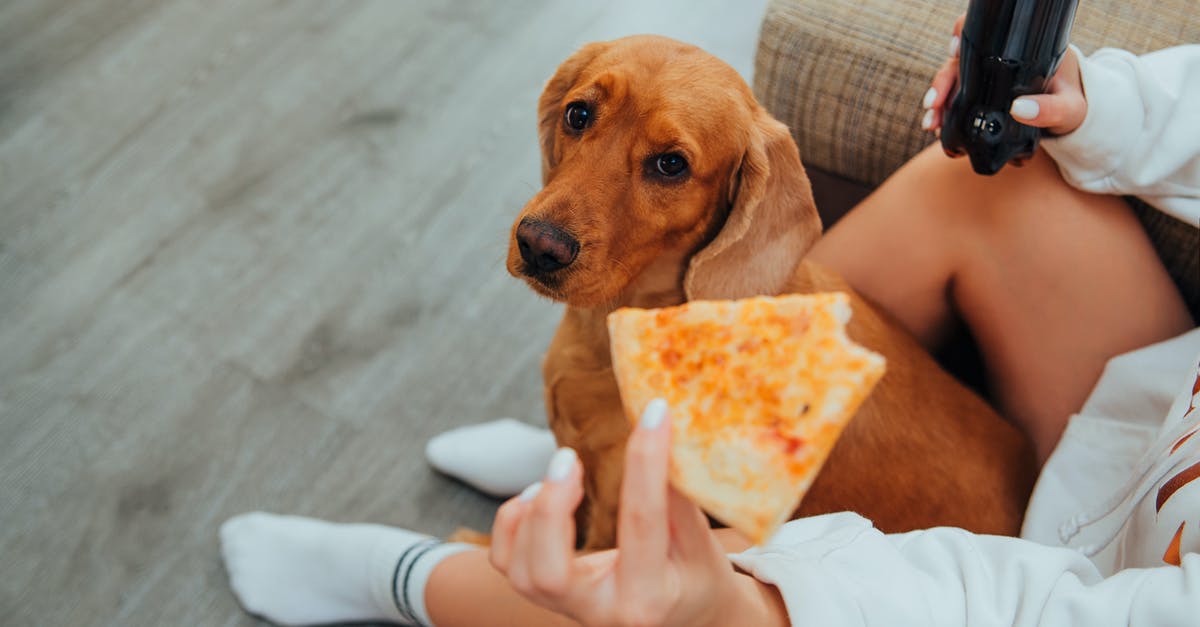 Amount hold after free hotel cancellation from Booking.com - Crop woman eating pizza sitting with dog