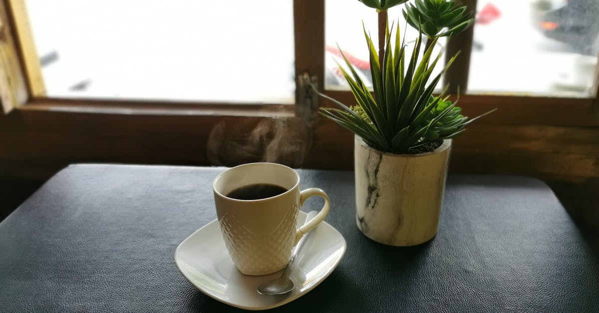 Amsterdam: day tickets from Sloterdijk to Centraal? - From above cup of fresh brewed hot coffee placed on table near window with potted succulents on sunny day