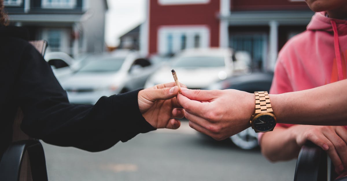 Amsterdam to Bollenstreek with Day Pass - Unrecognizable male in casual clothing passing joint with marijuana to friend on street in daylight on blurred background