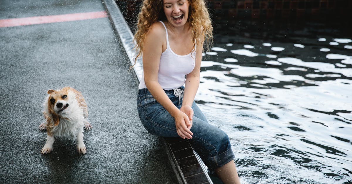 Amsterdam to Paris but drop off at Brussels with Thalys - Positive female sitting on poolside against small purebred dog shaking off water from wet fur in daytime