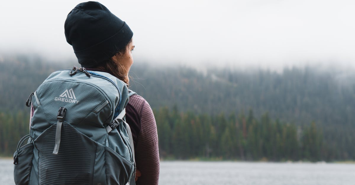 Annapurna Tilicho Lake without camping? - Close-up Photography of Woman Carrying Gray Backpack