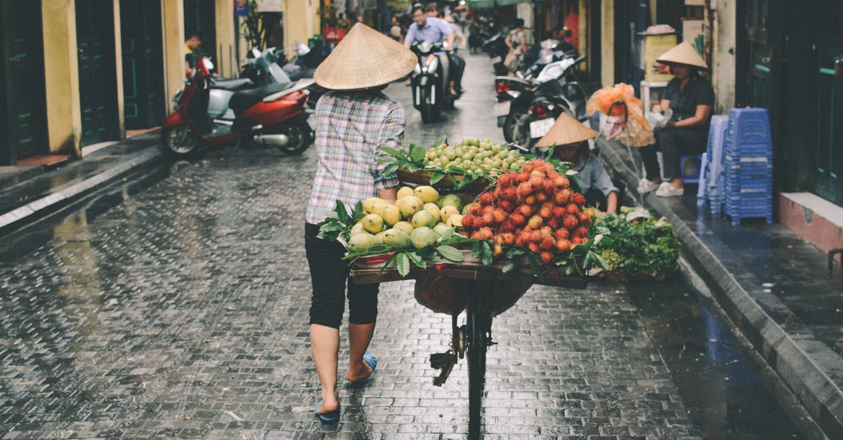 Another tourist Schengen visa after the previous one in 2 months? - Person Walking on Market