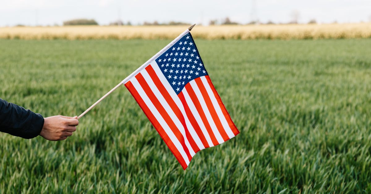 Any documents to show when entering USA with ESTA? - Crop unrecognizable person holding colorful flag of America with stars and stripes on lush green lawn under cloudy sky in daylight