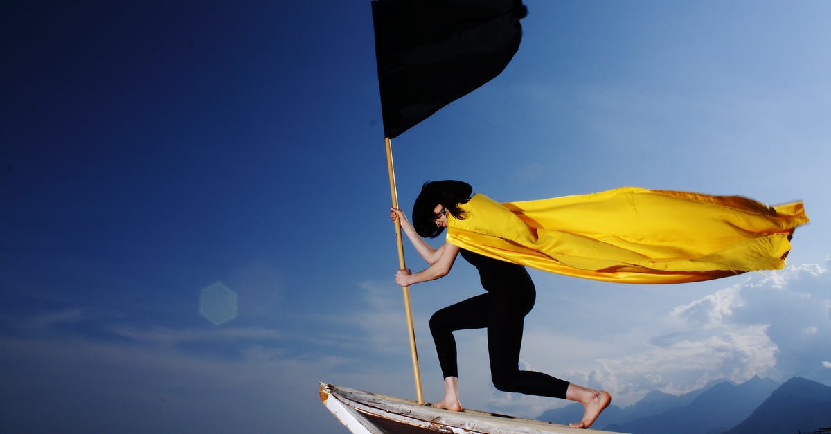 Any free (no fee) beaches in Cape May? - Woman Holding Black Flag