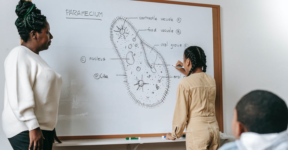 Any suggestions to answer this student visa question? [closed] - African American woman at whiteboard watching girl doing task with Ciliate cell structure in classroom