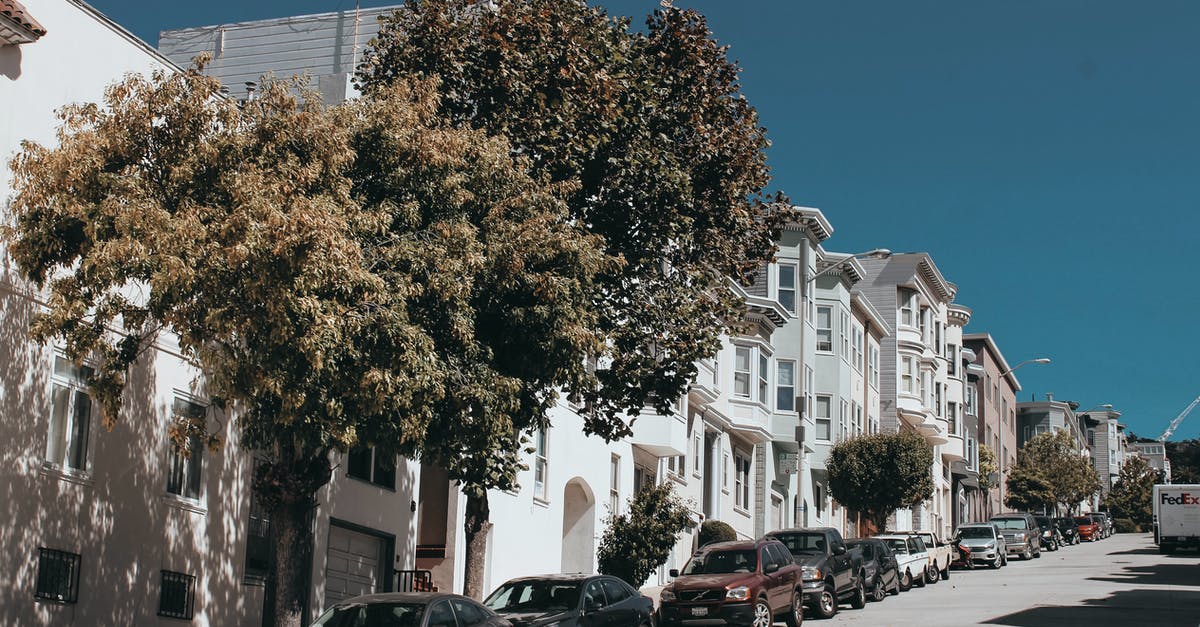 Any tips for street parking in San Francisco? - Green Trees Near Vehicle