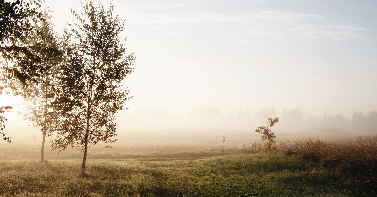 Applying for a Schengen visa early because of another trip - Amazing mysterious landscape of early morning in countryside with autumn fog in field against cloudy blue sky