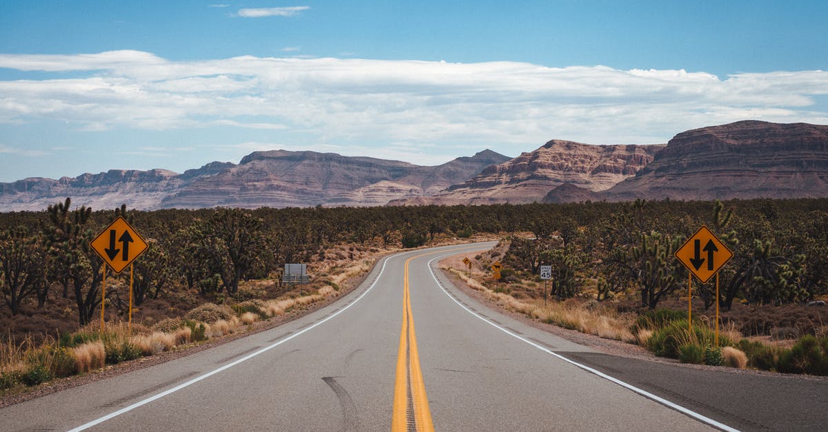 Applying for expedited US B1/B2 Visa - Empty asphalt road going through cactus fields towards rocky mountains against cloudy blue sky in United States of America