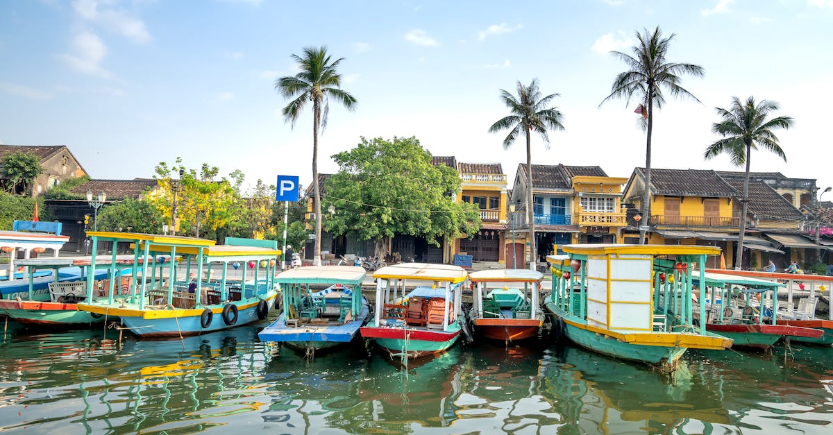 Are cruises' Shore Excursions worth the money? [closed] - Cruise boats moored on river in tropical village