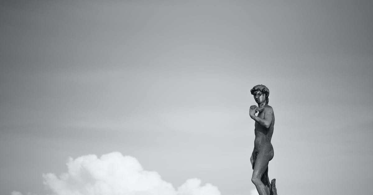 Are duplicate Greek PLFs required to provide accurate vaccination information? - Grayscale Photo of Man Statue