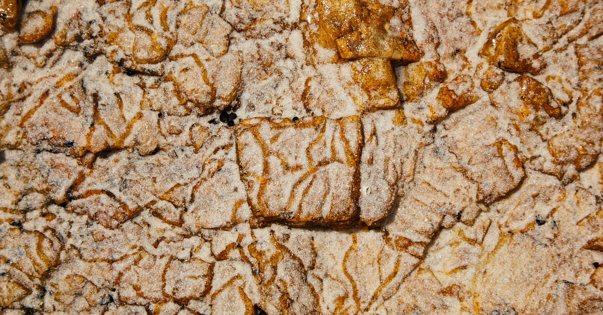 Are ESTA holders exempt from having to fill in the I-94W form at all land border crossings, or only some? - Top view of abstract weathered surface of rough rocky formation with uneven texture and relief Are ESTA holders exempt from having to fill in the I-94W form at all land border crossings, or only some? - Top view of abstract weathered surface of rough rocky formation with uneven texture and relief