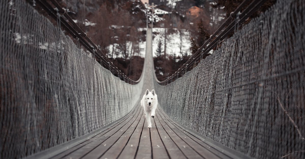 Are Israeli dual citizens allowed to cross via the Allenby Bridge? - Dog Running On Bridge