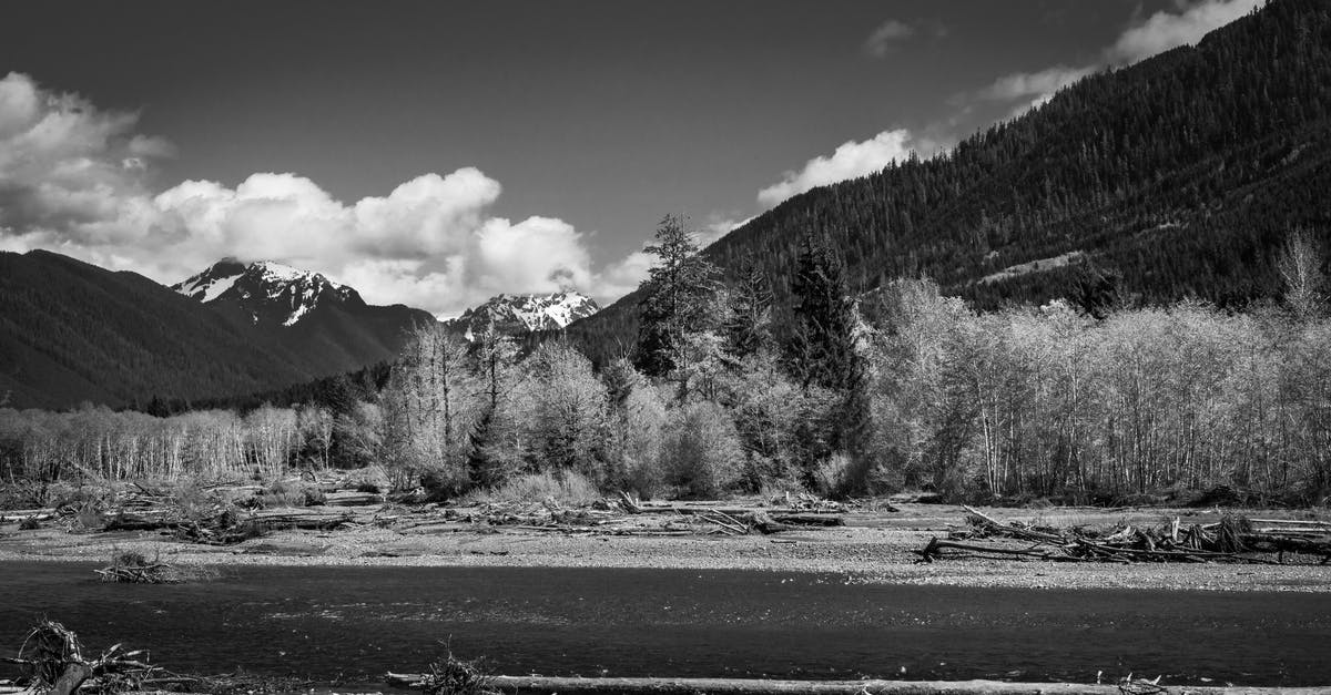 Are live leeches allowed through TSA checkpoints? - Free stock photo of dawn, infrared, lake