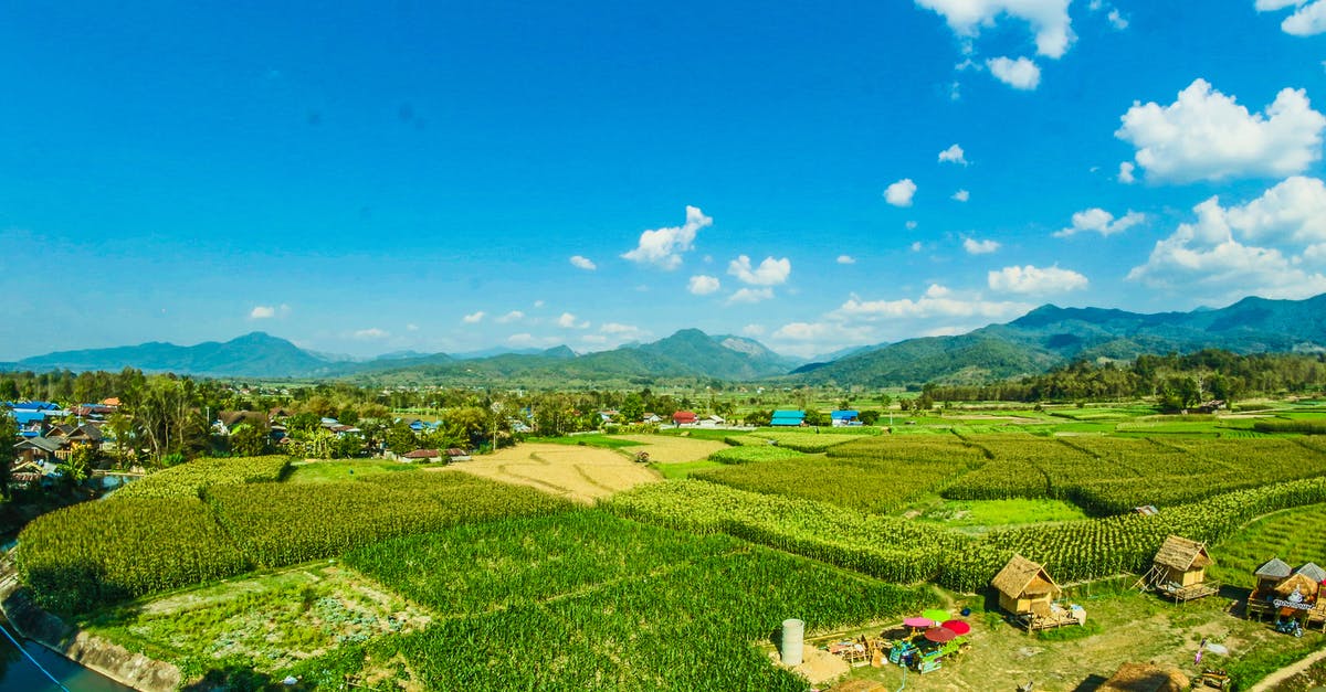 Are Mastercard ATMs available in every Asian country? - Houses Near the Rice Wheat Field Under the Clear Blue Skies