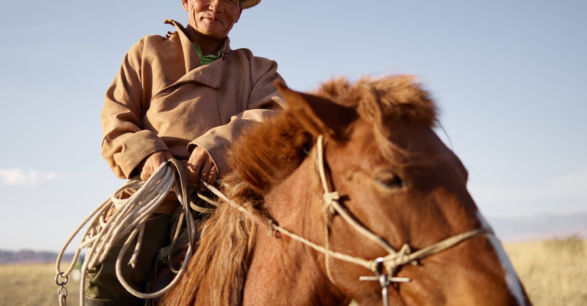 Are Mastercard ATMs available in every Asian country? - Low angle of senior Asian horseman wearing national cloth riding brown horse on blurred background of prairie with dried yellow grass and remote mountains under clear blue sky while looking at camera with smile