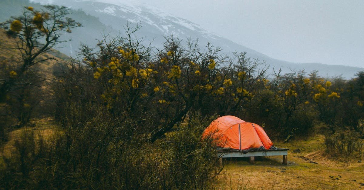 Are permits required for camping in Finnish national parks? - Photo of Tent Surrounded by Plants